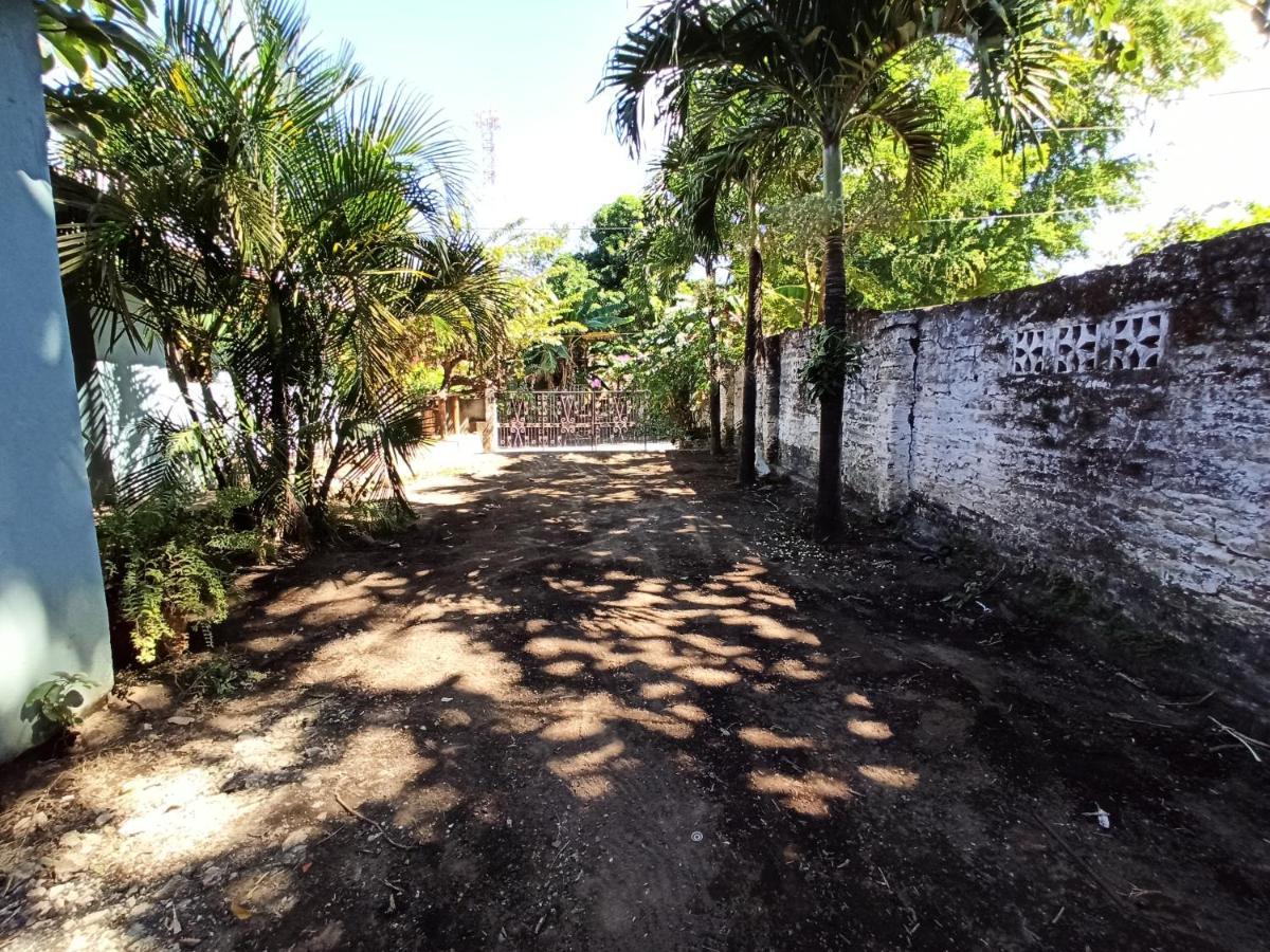 Ometepe House Bed & Breakfast Moyogalpa Bagian luar foto