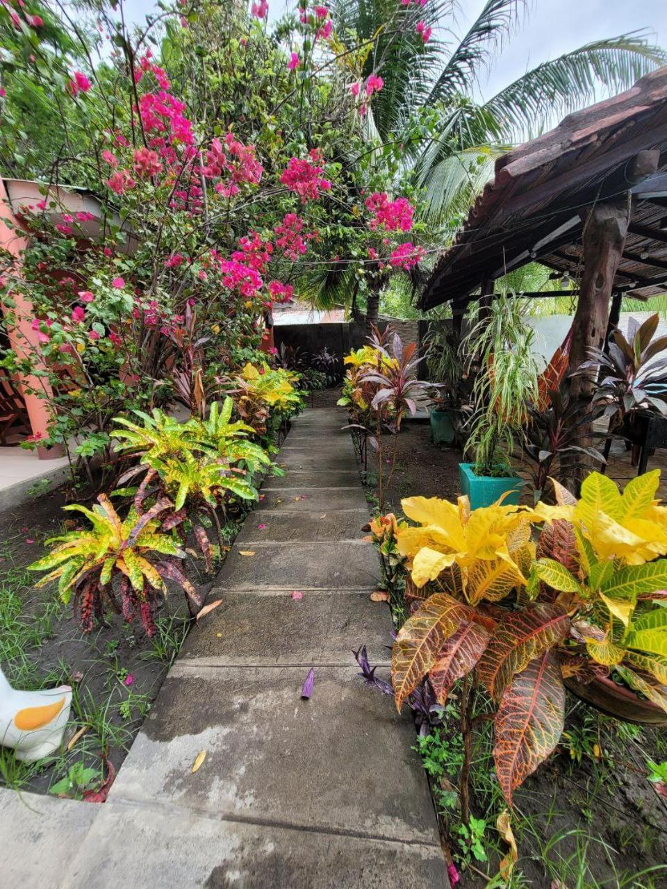 Ometepe House Bed & Breakfast Moyogalpa Bagian luar foto